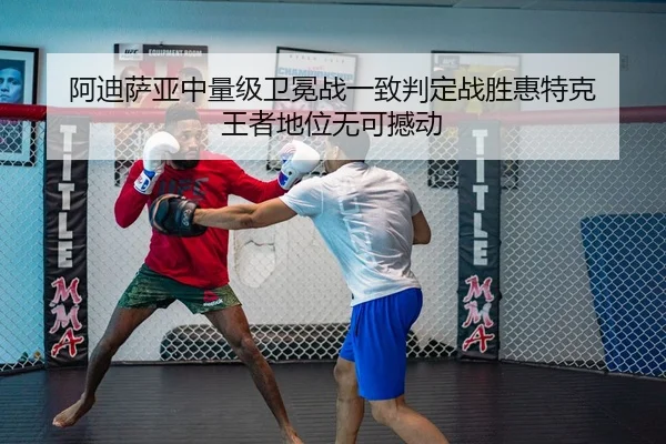 a-di-sa-ya-zhong-liang-ji-wei-mian-zhan-yi-zhi-pan-ding-zhan-sheng-hui-te-ke-wang-zhe-di-wei-wu-ke-han-dong-2-223.jpg